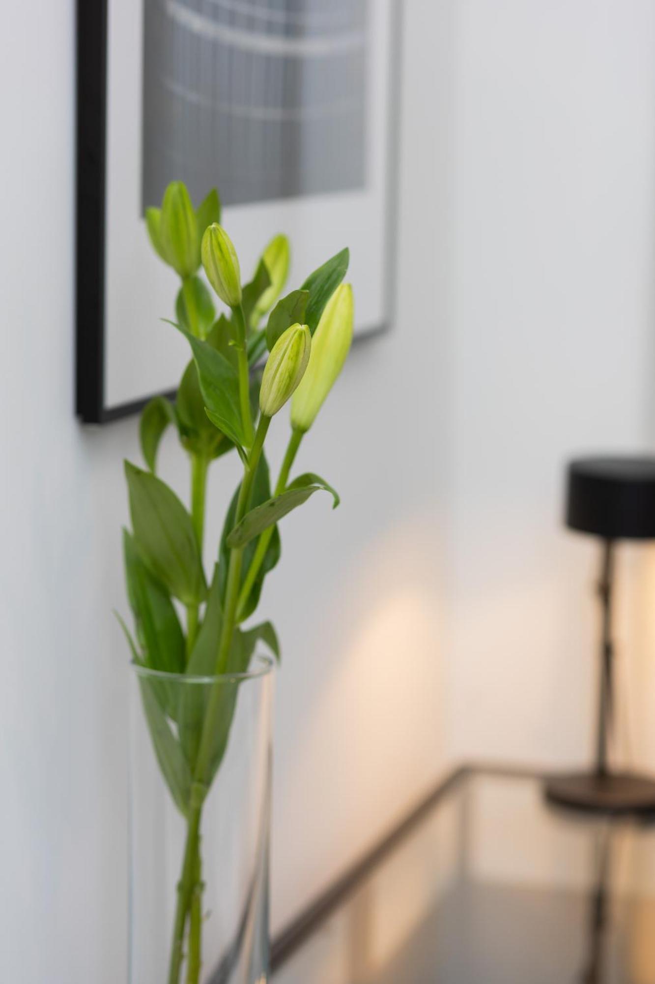 Cosy Dream City Center Apartment By Noclegi Renters Warszawa Exteriör bild